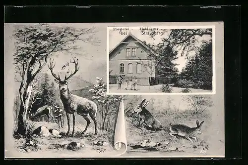 AK Strausberg, Försterei Heidekrug, Hirsch und Hasen