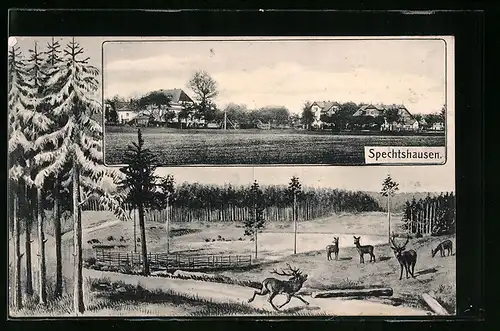 AK Spechtshausen, Ortspartie, Wiese mit Hirschen und Rehen