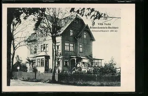 AK Benneckenstein /Hochharz, Villa Vocke