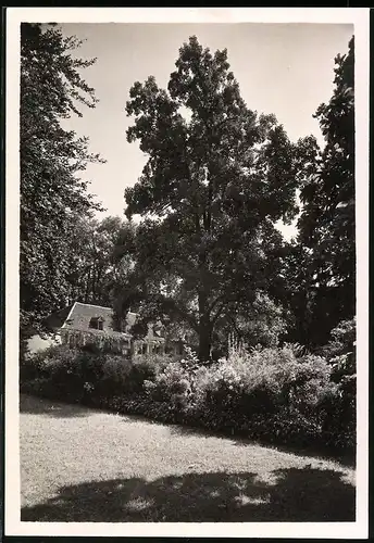 Fotografie J. Gaberell, Thalwil, Ansicht Wädenswil, Partie auf dem Schlosshof