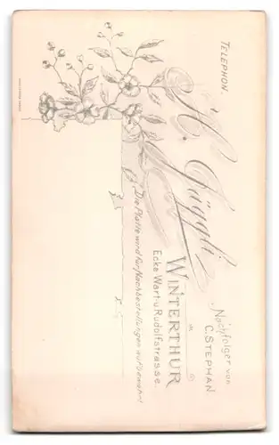 Fotografie H. Jäggli, Winterthur, Ecke Wart- u. Rudolfstrasse, Elegant gekleideter Herr mit Schnauzbart