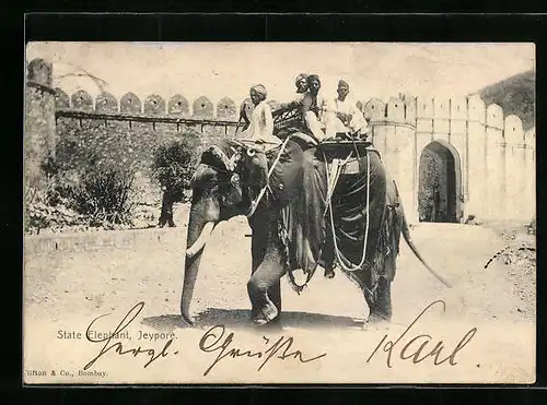 AK Jeypore, State Elephant