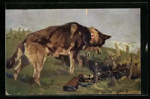 Künstler-AK Sanitätshund entdeckt einen Verwundeten in einer Wolfsgrube