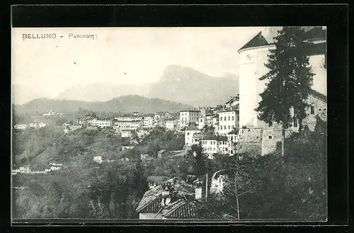 AK Belluno, Panorama