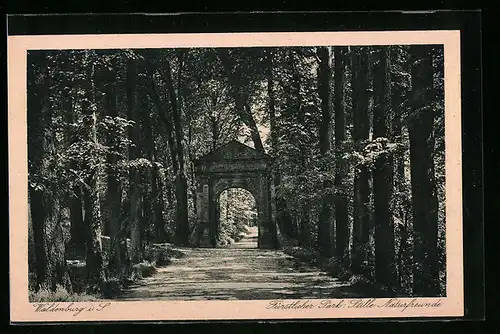 AK Waldenburg i. S., Fürstlicher Park: Stille Naturfreunde