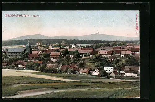 AK Benneckenstein i. Harz, Ortsansicht aus der Ferne