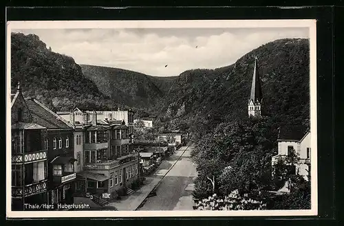 AK Thale /Harz, Blick auf die Hubertusstrasse