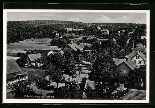 AK Friedrichsbrunn / Ostharz, Blick auf die Siedlung