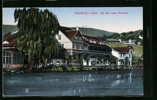 AK Ilsenburg i. Harz, Gasthof Zu den roten Forellen