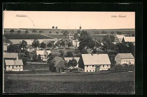 AK Nassau /sächs. Erzgeb., Blick auf die Häuser