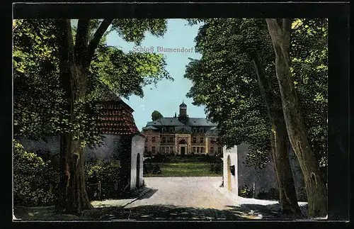 AK Bad Oldesloe, Eingang zum Schloss Blumendorf