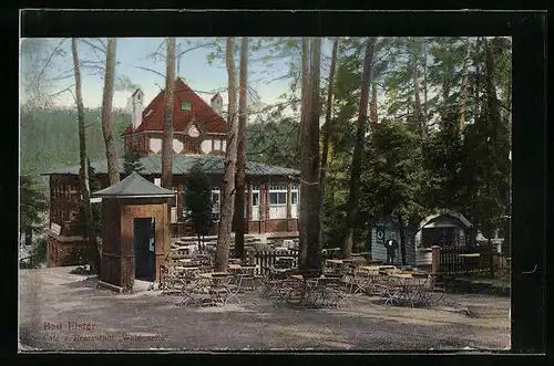 AK Bad Elster, Cafe und Restaurant Waldquelle, Gartenansicht