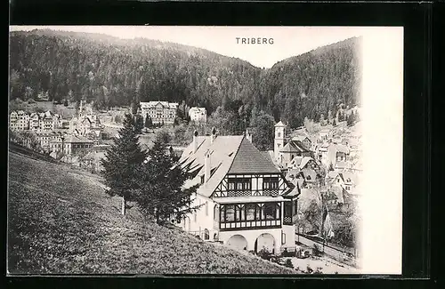 AK Triberg, Ortsansicht aus der Vogelschau