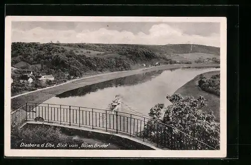 AK Diesbar a. d. Elbe, Blick vom Bösen Bruder