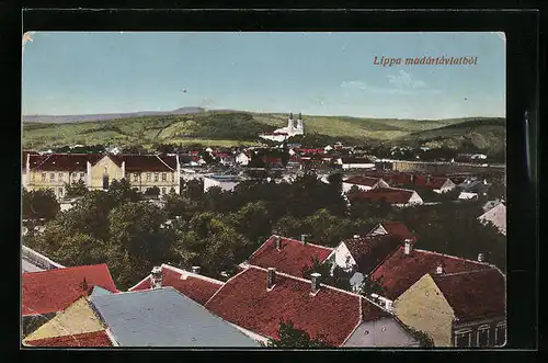AK Lippa, Panorama