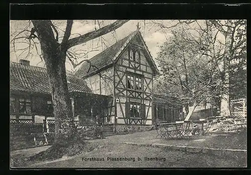 AK Plessenburg b. Ilsenburg, Gasthaus Forsthaus