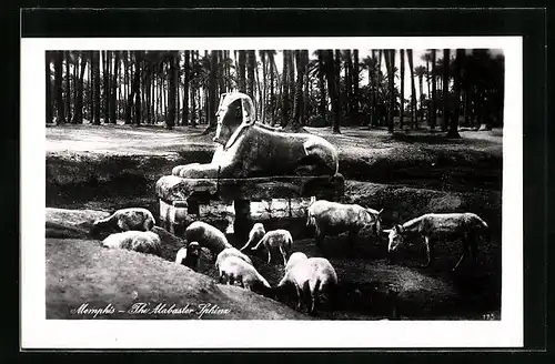 AK Memphis, The Alabaster Sphinx