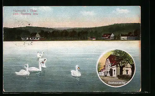 AK Hainspitz i. Thür., Gasthaus am See, Uferpartie mit Schwänen