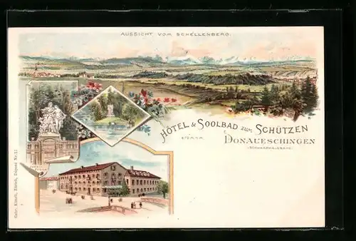 Lithographie Donaueschingen /Schwarzwaldbahn, Aussicht vom Schellenberg, Donau-Quelle, Insel im Park