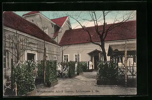 AK Lichtensee i. Sa., Weinkelterei Adolf Berner
