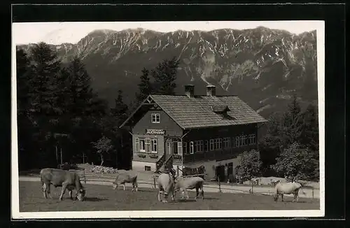 AK Edlach a. d. Rax, Gastwirtschaft Auerhahn mit Bergpanorama