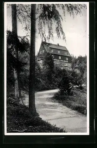 AK Waldbärenburg i. Erzg., Fremdenheim u. Cafe Hocheck