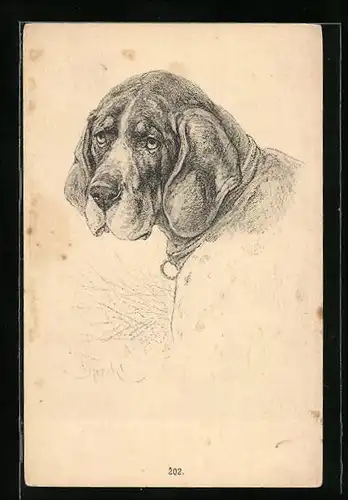 Künstler-AK M. Munk Nr. 202: Bernhardiner mit Halsband