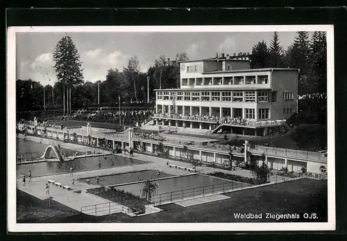 AK Ziegenhals, Ansicht vom Waldbad