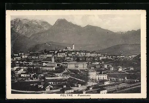 AK Feltre, Panorama