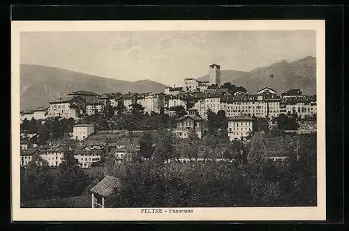 AK Feltre, Panorama