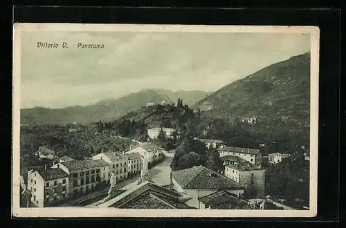 AK Vittorio V., Panorama