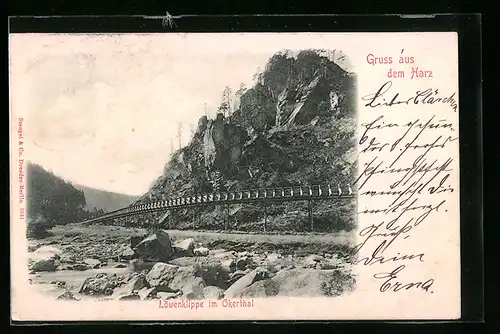 AK Okerthal /Harz, Partie an der Löwenklippe
