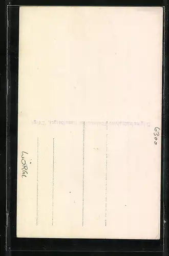 AK Wörgl, Haus am Wasserfall