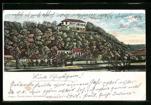 AK Aschersleben, Blick aufs Burghaus