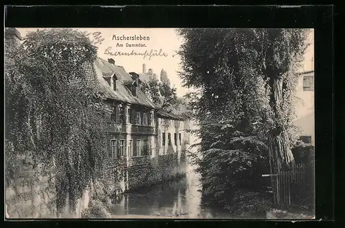 AK Aschersleben, Partie am Dammtor