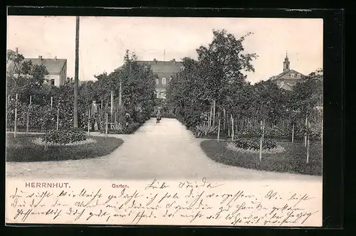 AK Herrnhut, Garten mit Blumenbeeten