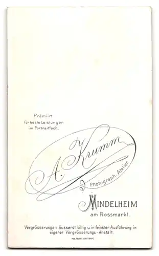 Fotografie A. Krumm, Mindelheim, am Rossmarkt, bürgerliche Dame im Trachtenkleid