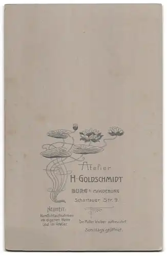 Fotografie H. Goldschmidt, Magdeburg, Schartauer Strasse 9, hübsche junge Dame mit Hochsteckfrisur