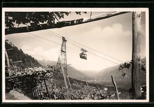 AK Seilbahn San Vigilio über Wein-Terassen