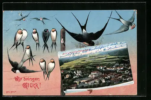AK Bad Langenschwalbach, Ortsansicht aus der Vogelschau, Schwalben auf dem Strommast