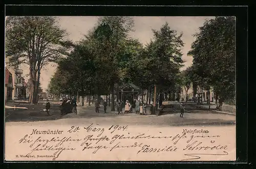 AK Neumünster, Strassenpartie Kleinflecken