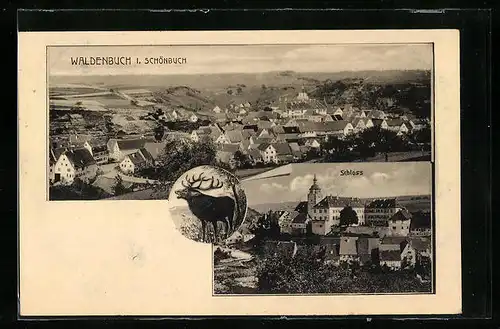 AK Waldenbuch i. Schönbuch, Ortsansicht aus der Vogelschau, Schloss