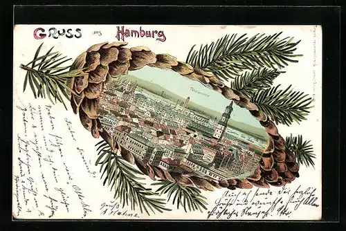 Passepartout-Lithographie Hamburg, Totalansicht in einem Tannenzapfen