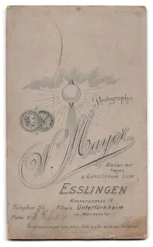 Fotografie Wilh. Mayer, Esslingen, Kronenstr. 14, Portrait schönes Fräulein im elegant bestickten Kleid