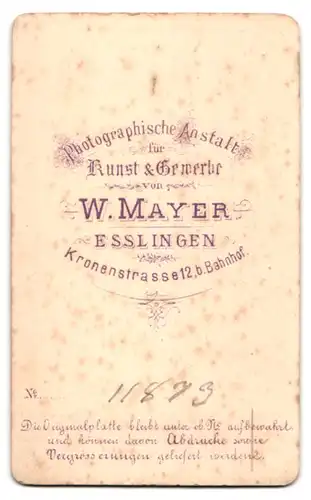 Fotografie W. Mayer, Esslingen, Kronenstr. 12, Portrait blonde Schönheit mit eleganter Flechtfrisur