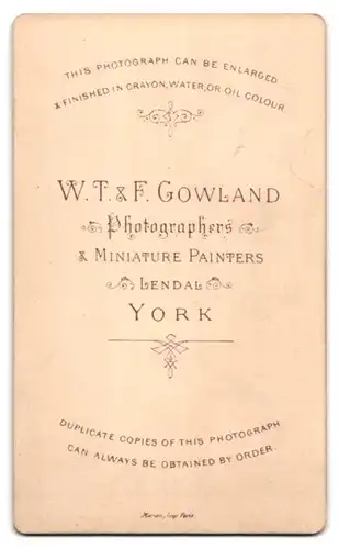 Fotografie W. T. & F. Gowland, York, Portrait einer elegant gekleideten Frau