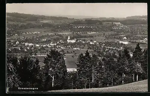 AK Grosswangen, Panoramablick vom Berg aus