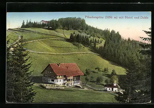 AK Bregenz, Pfänderspitze mit Hotel Pfänder und Dohle