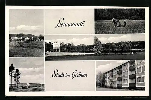 AK Sennestadt, Gebäudeansichten, Seeansichten