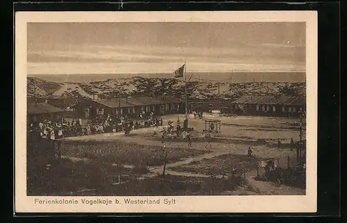 AK Westerland / Sylt, Ferienkolonie Vogelkoje